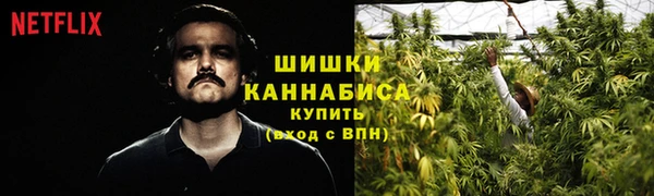 PSILOCYBIN Алексеевка