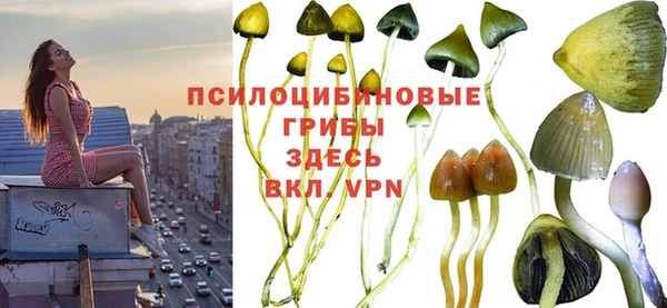 а пвп мука Алзамай