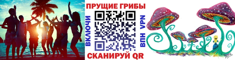 kraken онион дарнет шоп Удачный Псилоцибиновые грибы Cubensis