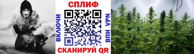 гидра маркетплейс  Удачный  МАРИХУАНА ГИДРОПОН 